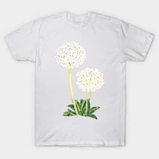 white drumstick primrose  ink and watercolour T-Shirt